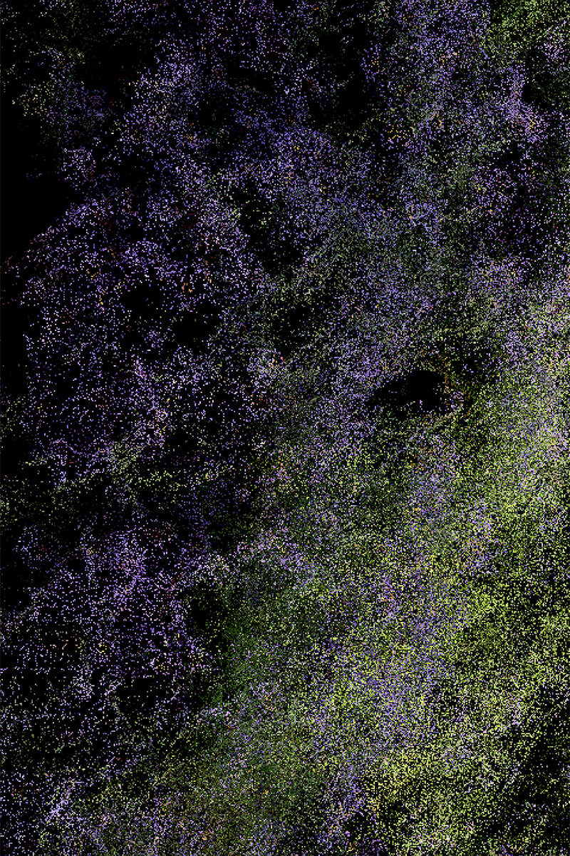 Clement Valla, Pointcloud.garden